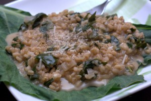 collards in risotto style pearled barley