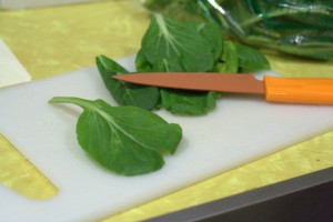tatsoi