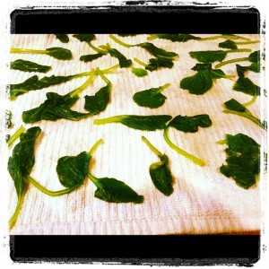 how to freeze tatsoi