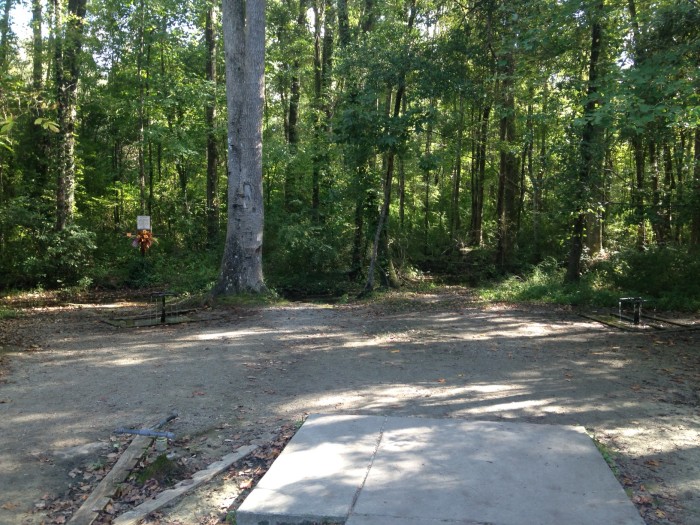 God's Acre Healing Springs in Blackville, South Carolina • The April Blake