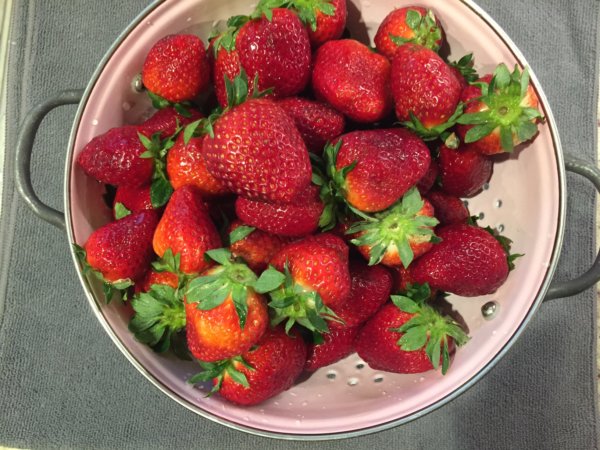 Cottle Farm strawberries in a colander