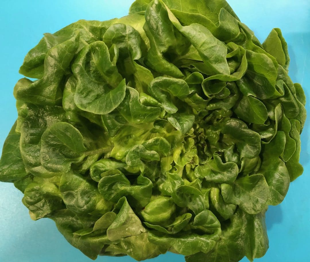 Walnut Oil Salad Dressing The April Blake