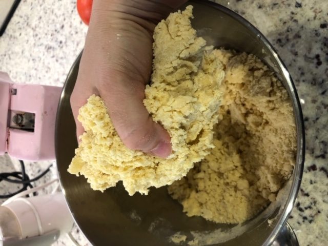 making pasta with kitchenaid extruder