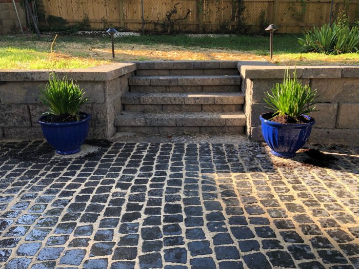 Blue planters with millennium alliums