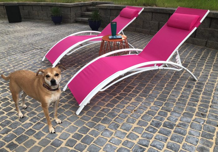 Hot pink outdoor lounge chairs from Wayfair
